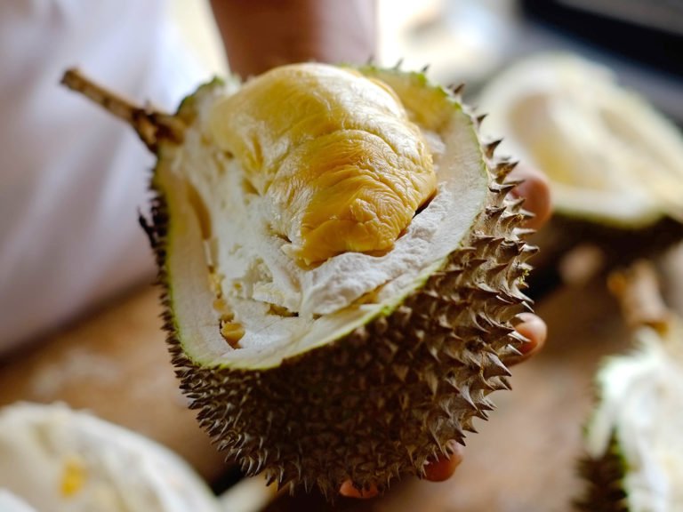 mad about durian, the king of fruits