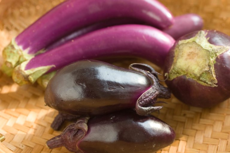 eggplant / aubergine
