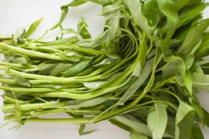 water spinach, morning glory