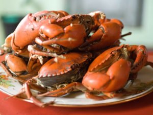crab freshly cooked