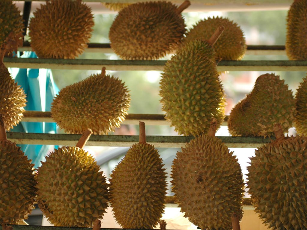 durian at night market