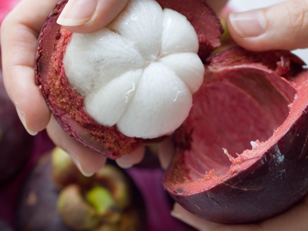 mangosteen fruit